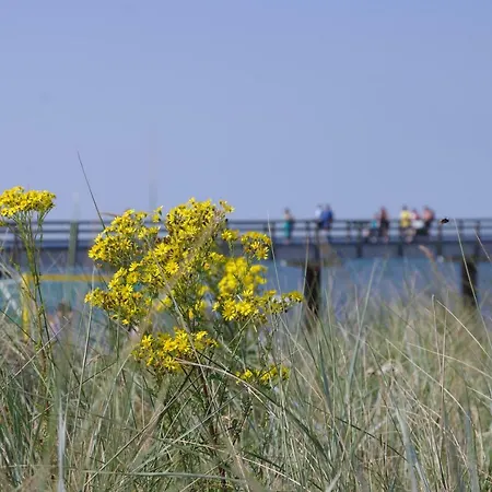 Apartment Ostsee Ferienwohnung Albatros